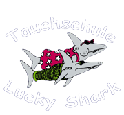 Tauchschule Lucky Shark